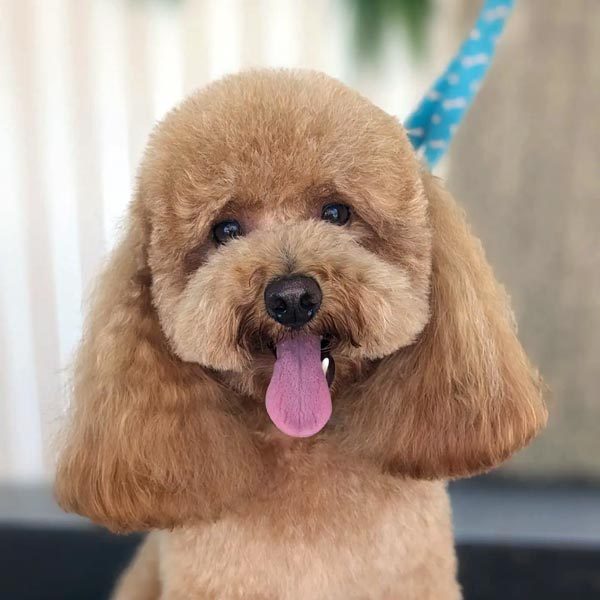 Winnie